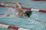 Swim 044