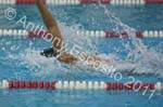 Swim 059