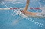 Swim 061