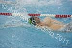 Swim 063