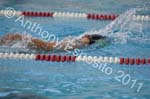 Swim 065