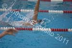 Swim 067