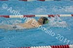 Swim 071
