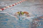 Swim 078