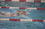 Swim 082