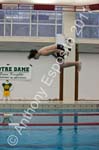 Swim 108
