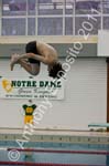 Swim 120
