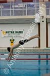 Swim 131