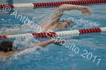 Swim 203