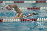 Swim 208
