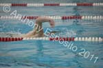 Swim 210