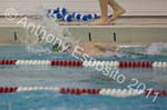Swim 217