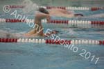Swim 220