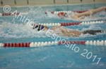 Swim 241