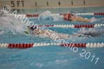 Swim 242