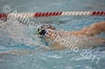 Swim 243