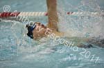 Swim 244