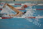 Swim 247
