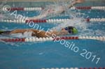 Swim 249