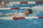 Swim 251
