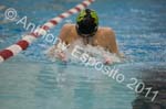 Swim 255
