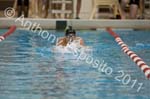 Swim 256