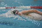 Swim 272