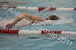 Swim 273