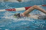 Swim 275