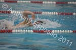 Swim 277