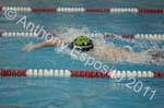 Swim 278