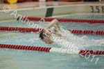 Swim 282