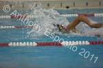 Swim 290