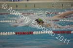 Swim 291