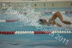Swim 292