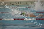Swim 293