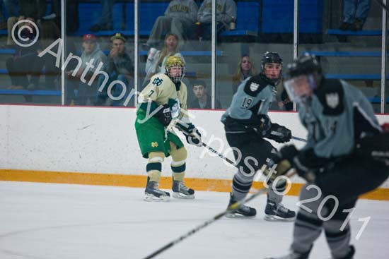 V Hockey 311