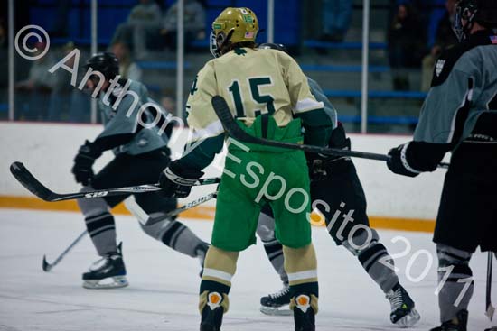 V Hockey 312