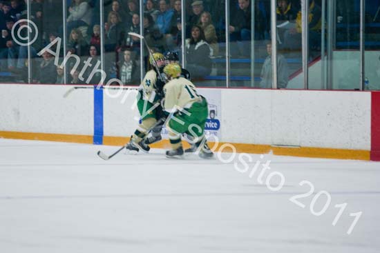 V Hockey 330