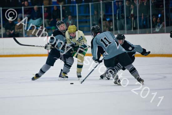 V Hockey 331