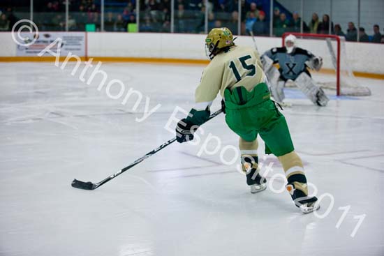 V Hockey 350