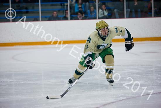 V Hockey 357