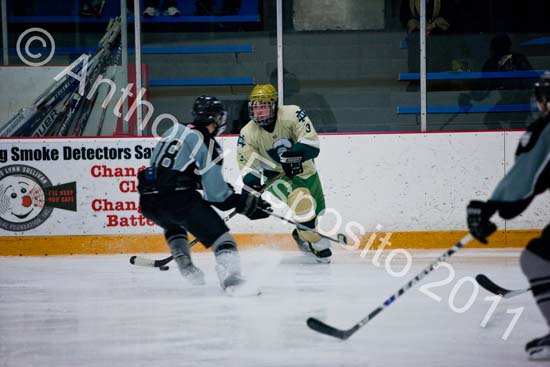 V Hockey 375