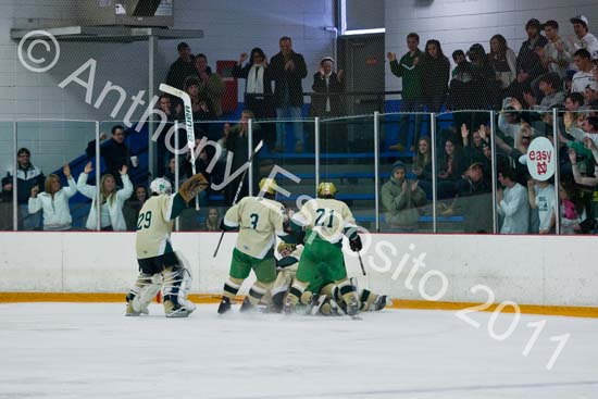 V Hockey 410