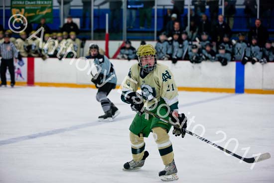 V Hockey 448