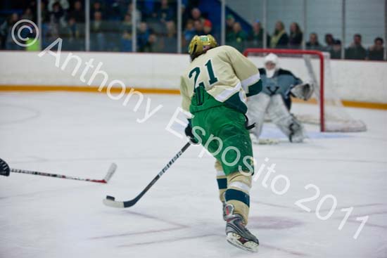 V Hockey 450
