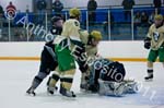 V Hockey 290