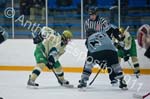 V Hockey 291