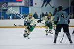 V Hockey 295