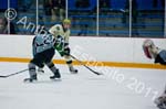 V Hockey 304